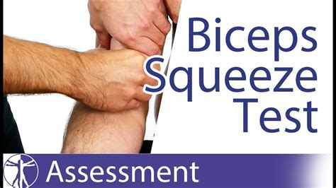 biceps brachii tear test|bicep squeeze test.